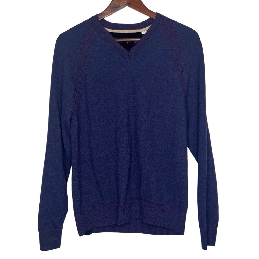 Robert Graham 100% Wool Sweater Purple Pullover V Neck Long Sleeve Mens Medium
